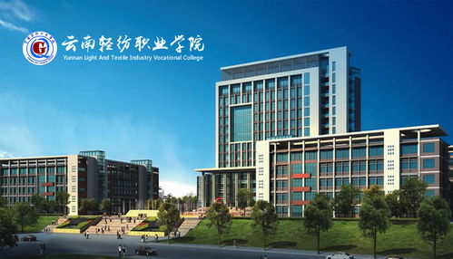 昆明奧遠科技 一站式數字化解決方案，賦能企業網絡建設與新媒體運營